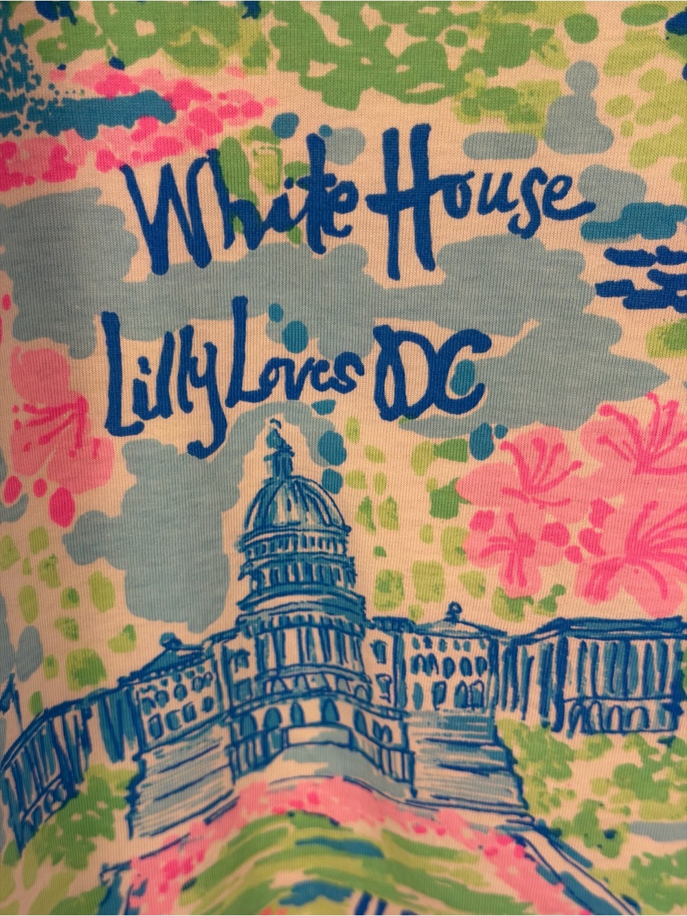 Lilly Pulitzer Lilly Loves DC Kristen Swing Dress Small Blue & Pink - Picture 5 of 9